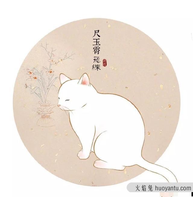 乌云盖雪猫是什么品种(雪猫是什么品种)