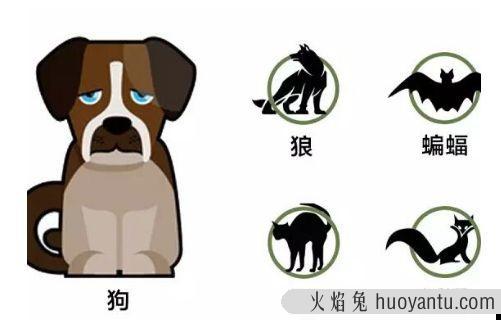 猫要打狂犬疫苗吗(家里养的猫要打狂犬疫苗吗)