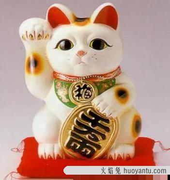 家里养猫对财运好不好(养猫对财运好吗)