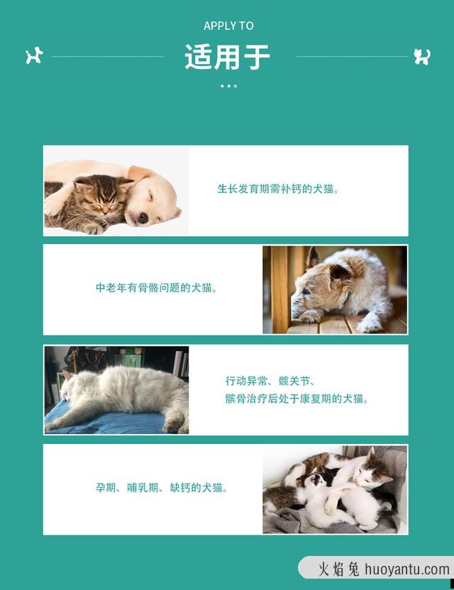 猫咪抽搐是什么情况(猫咪抽搐是什么情况像打喷嚏一样)