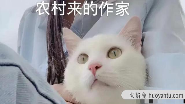 猫死后会给主人托梦吗(猫给人托梦意味着什么)