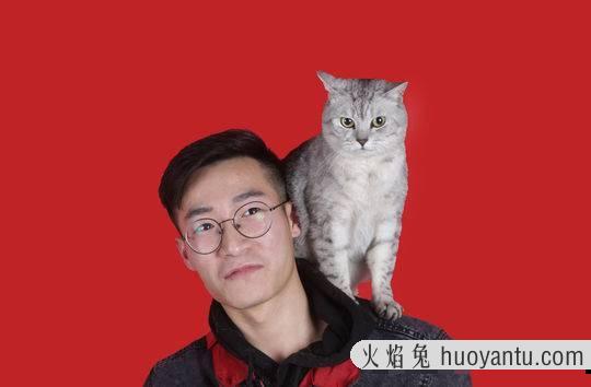 猫咪领养平台(猫咪领养平台有哪些)