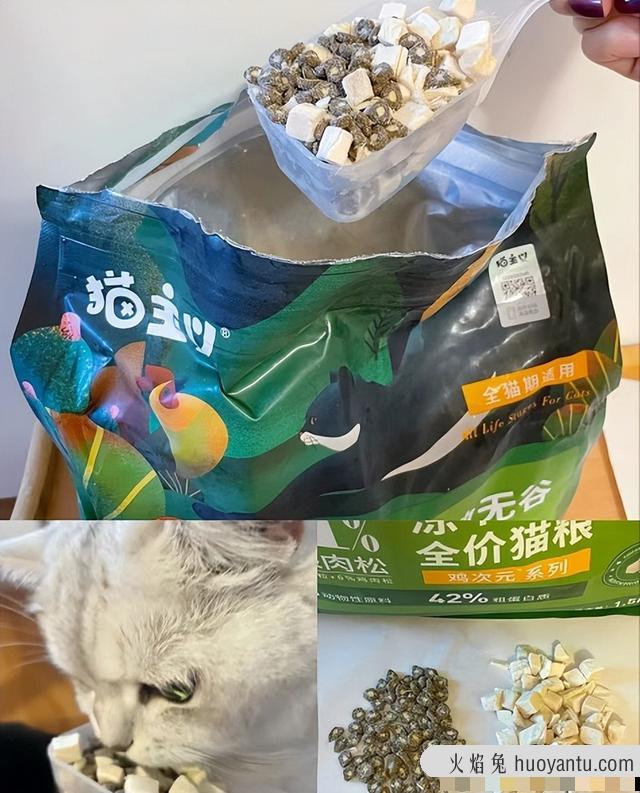 银渐层猫价格(银渐层猫价格多少钱一只)