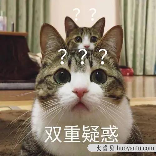 用纸箱做猫咪产房图解(怎么用纸箱子做猫产房)