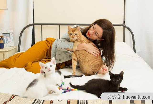 女性养公猫还是母猫好(女性养公猫还是母猫好一点)