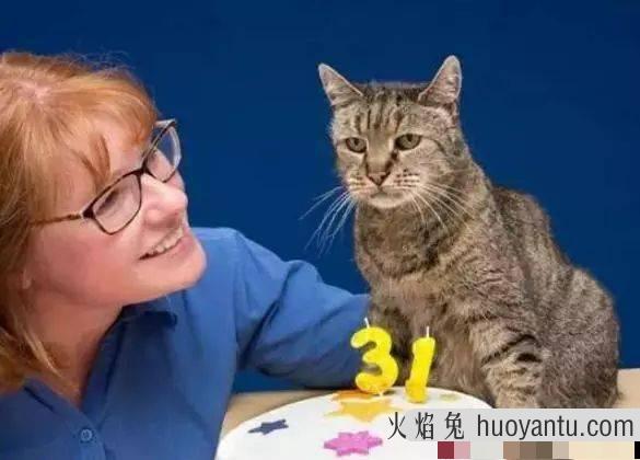 母猫不做绝育会怎么样(母猫不做绝育能活多久)