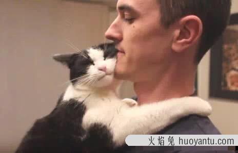 母猫不做绝育会怎么样(母猫不做绝育能活多久)