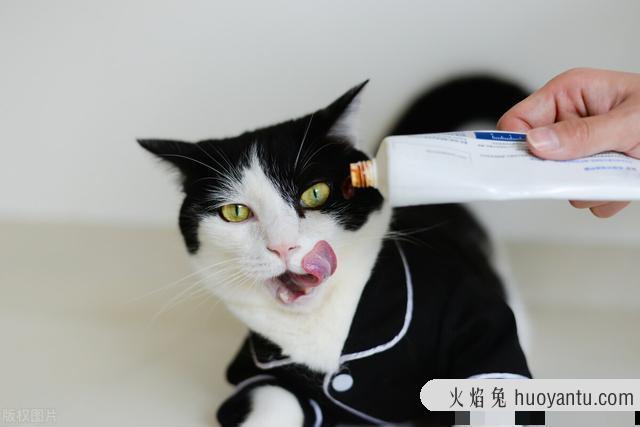 猫打完疫苗多久可以洗澡(成年猫打完疫苗多久可以洗澡)