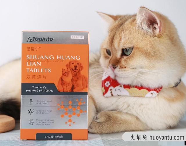 猫咪老是打喷嚏是怎么回事(猫咪老是打喷嚏流鼻涕怎么办)