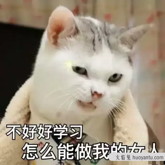 刚买的猫怎么教它用猫砂(刚买的猫怎么教它用猫砂呢)