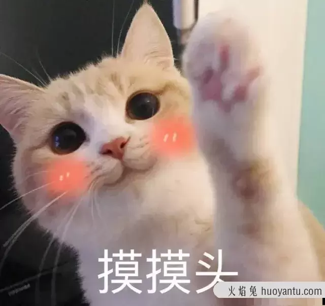 刚买的猫怎么教它用猫砂(刚买的猫怎么教它用猫砂呢)