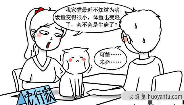 猫越养越瘦是怎么回事(猫越养越瘦是什么原因造成的)