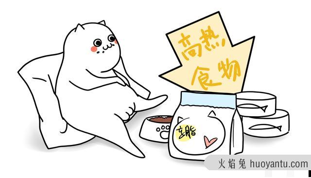 猫越养越瘦是怎么回事(猫越养越瘦是什么原因造成的)