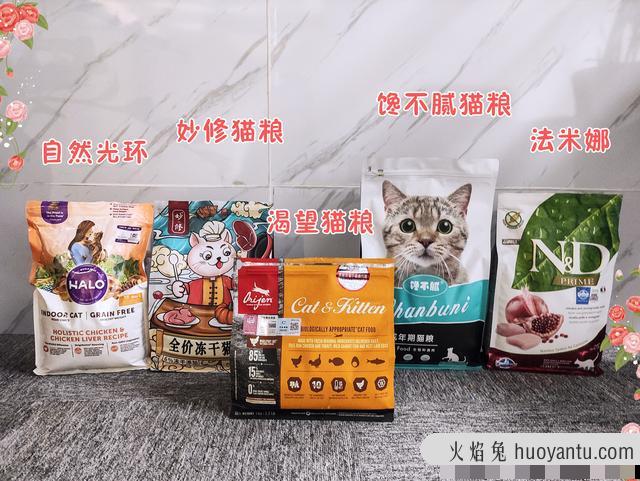 猫咪一见到人就咕噜咕噜叫怎么回事(猫咪一看见人就咕噜咕噜)