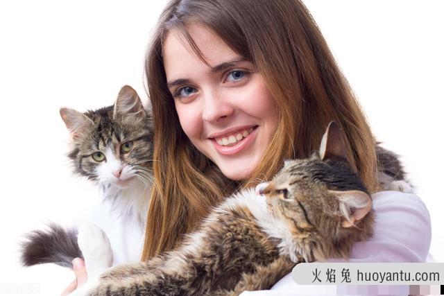 猫咪胆子小怕人怎么办(猫咪很胆小怕人怎么办)