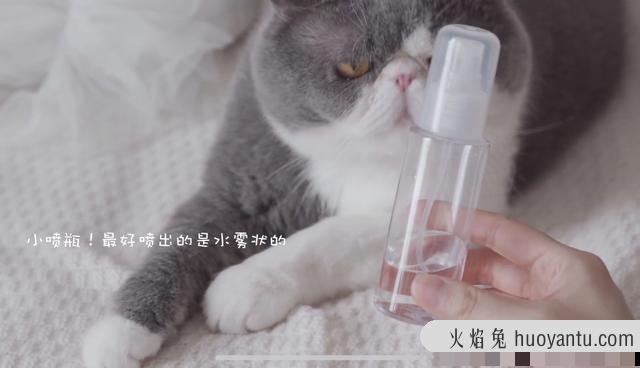 猫咪抓家具怎么办(怎样防止猫咪抓家具)