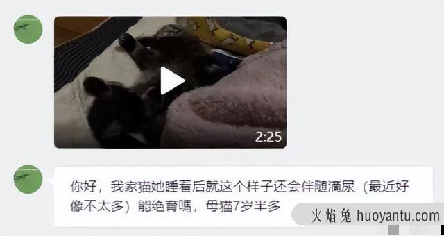 猫咪经常尿床怎么办(猫咪总尿床上怎么办)