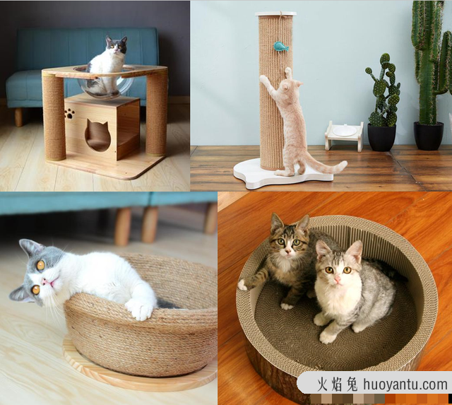 怎样训练猫咪用猫抓板(如何让猫咪学会用猫抓板)