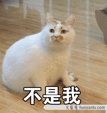 猫眼屎怎么弄干净(猫眼屎怎么清理)