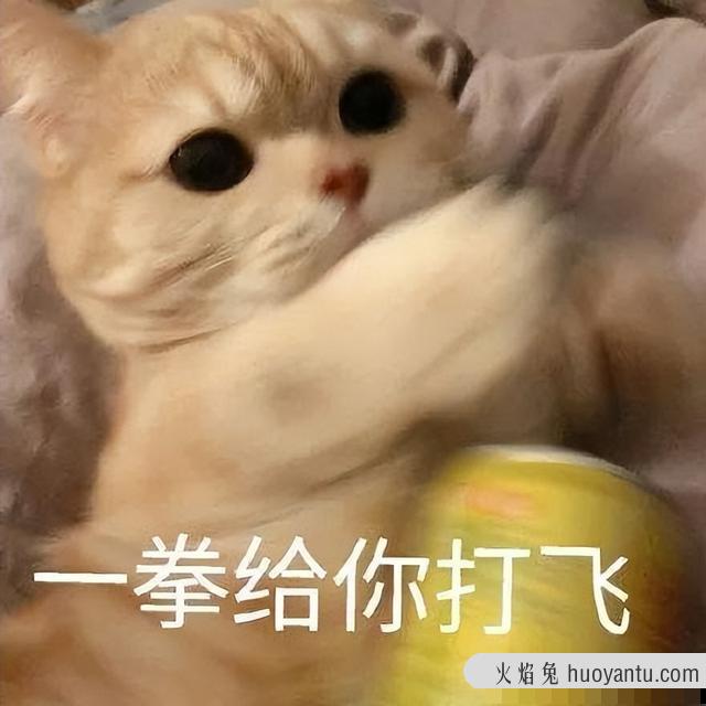 猫咪到底能不能喝自来水(猫咪自来水能喝吗)