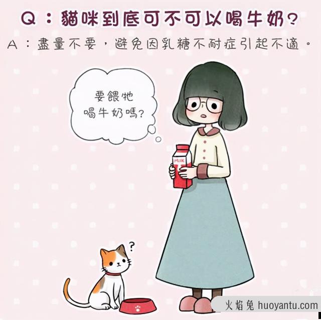 猫为啥爱喝纯牛奶咋回事(猫为什么喜欢喝纯牛奶)