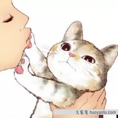 吸猫到底是对猫干嘛(吸猫是对猫做什么)