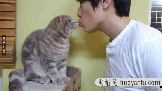 吸猫到底是对猫干嘛(吸猫是对猫做什么)