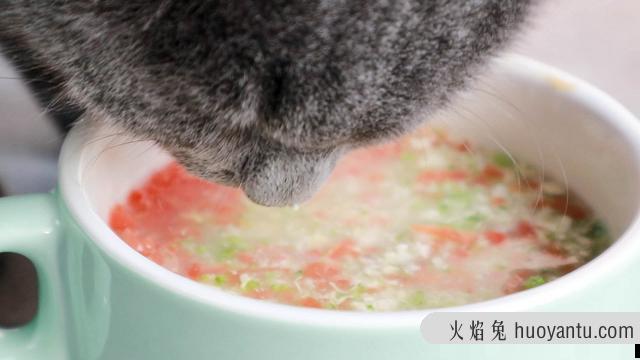 白水煮鸡肉猫咪怎么才爱吃(猫咪能吃白水煮鸡肉吗)