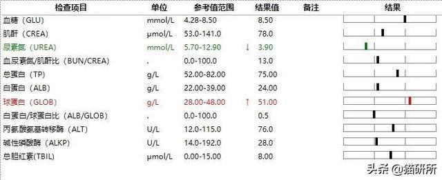 干性猫传腹能活多久(干性猫传腹晚期能救活吗)