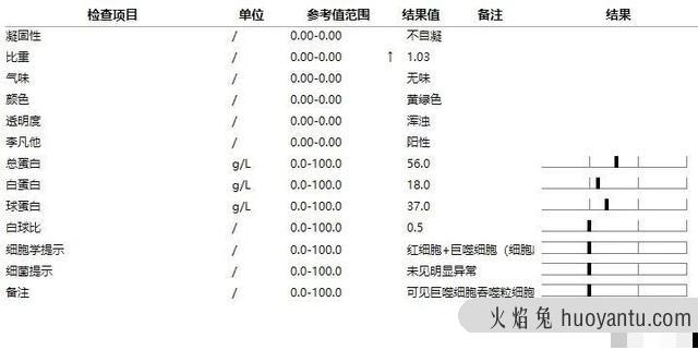 干性猫传腹能活多久(干性猫传腹晚期能救活吗)