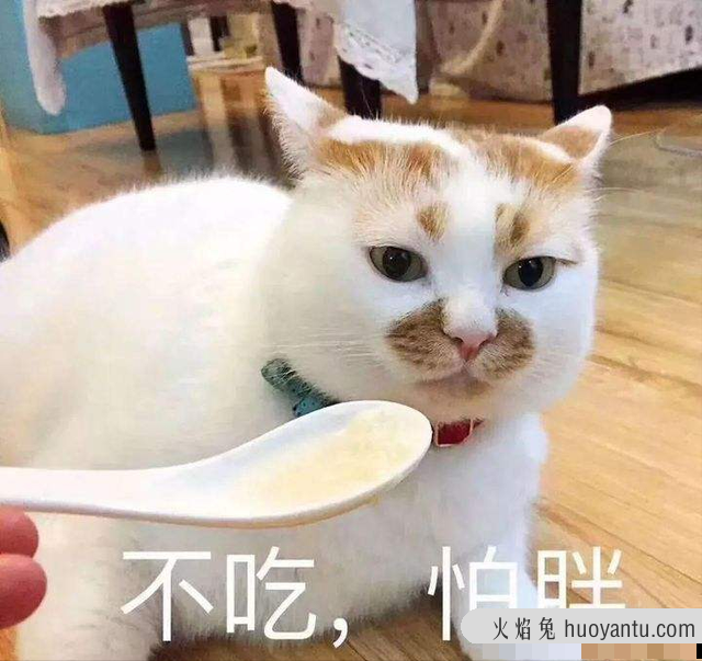 猫抑郁症的表现形式(猫有抑郁症的前兆表现)