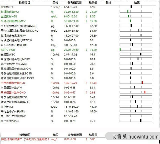 干性猫传腹能活多久(干性猫传腹晚期能救活吗)