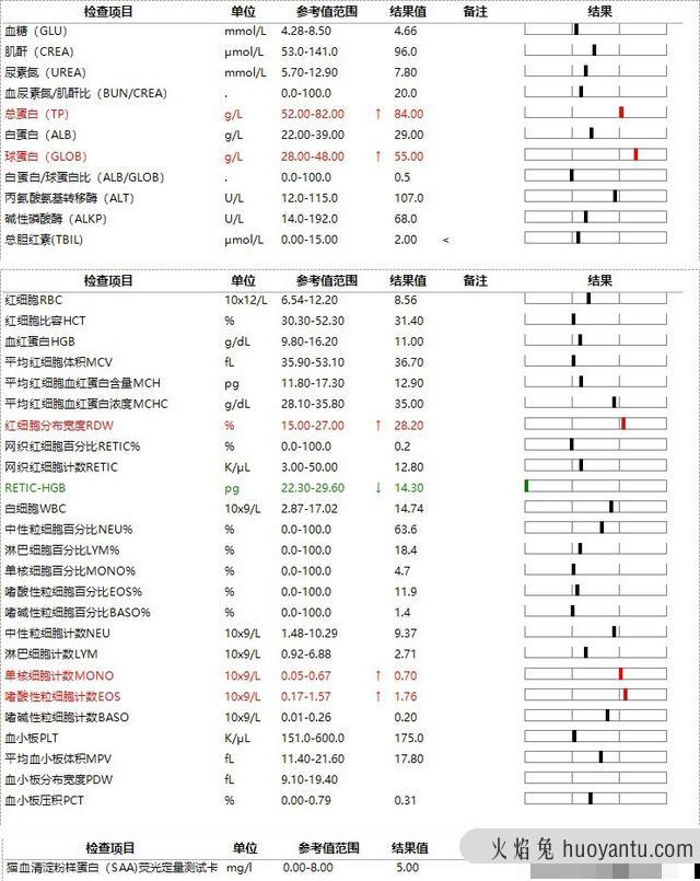 干性猫传腹能活多久(干性猫传腹晚期能救活吗)