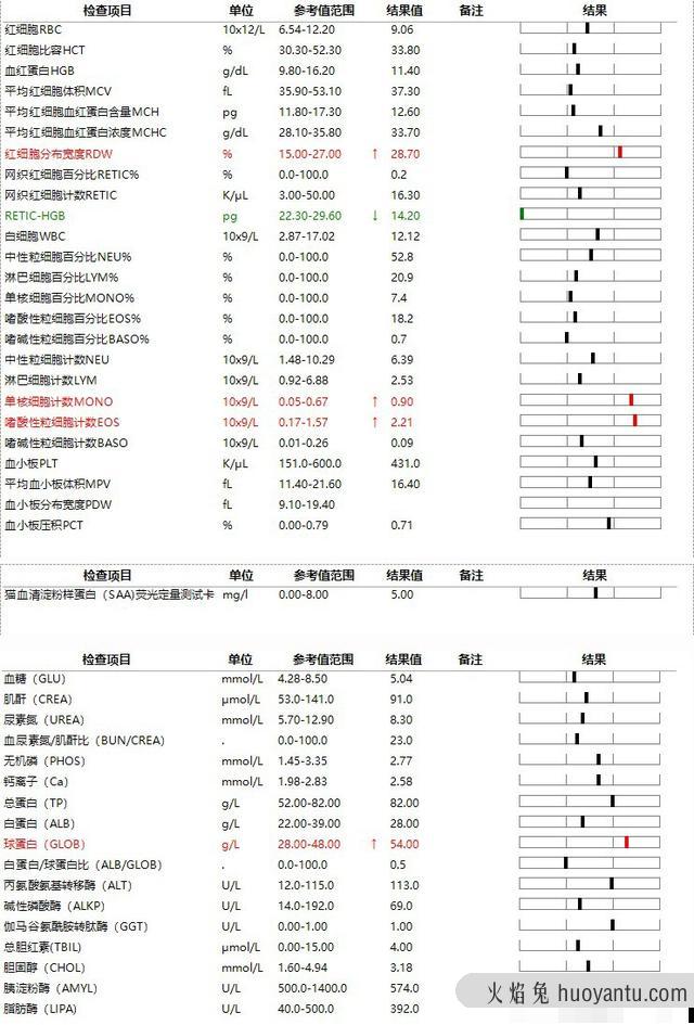 干性猫传腹能活多久(干性猫传腹晚期能救活吗)