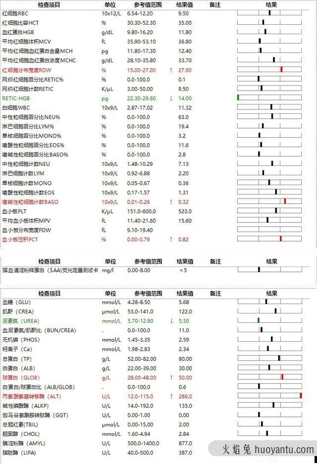 干性猫传腹能活多久(干性猫传腹晚期能救活吗)