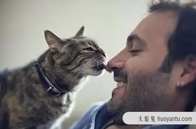 猫的舌头舔人有细菌吗(猫咪舌头舔人有细菌吗)