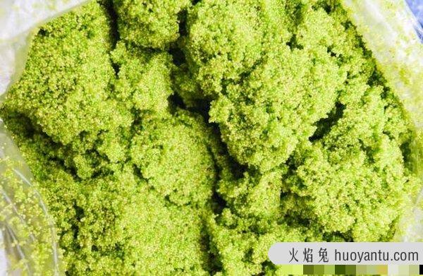 世界上最小的花是什么花，无根萍(用显微镜才能看到)